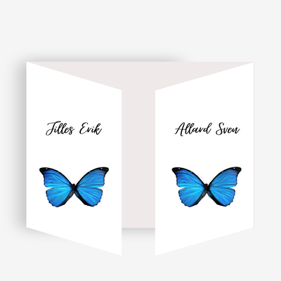 jilles-allard-website-standard.png