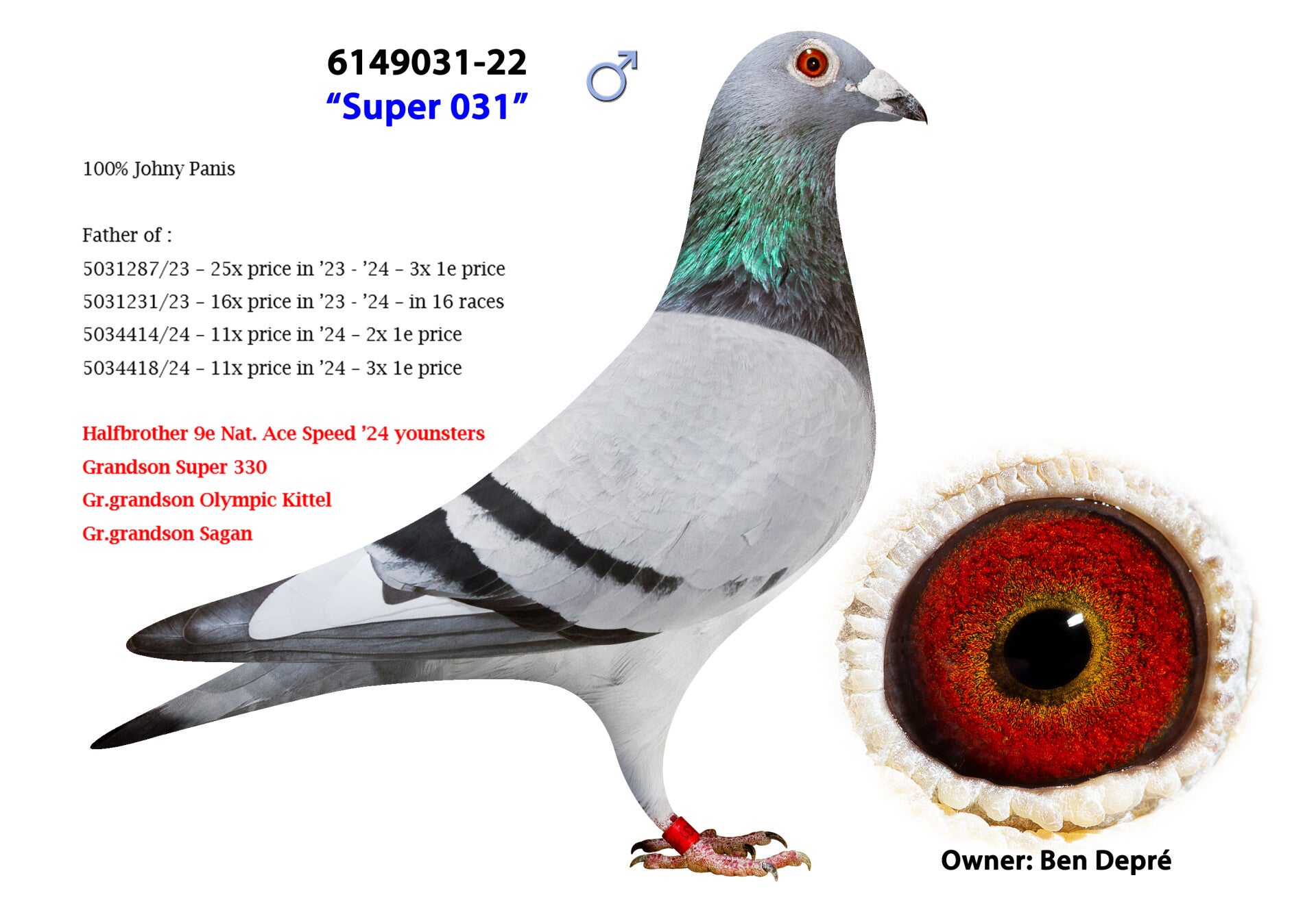 22-6149031-foto-standard-owb3w4.jpg