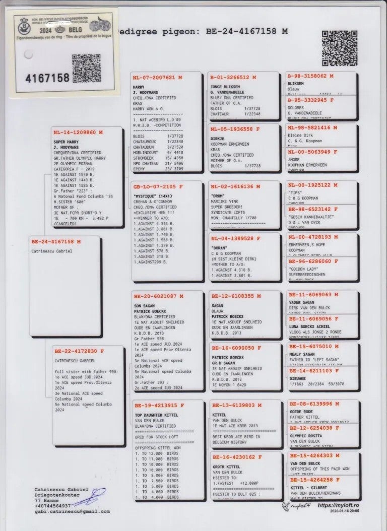 24-4167158-standard.jpg