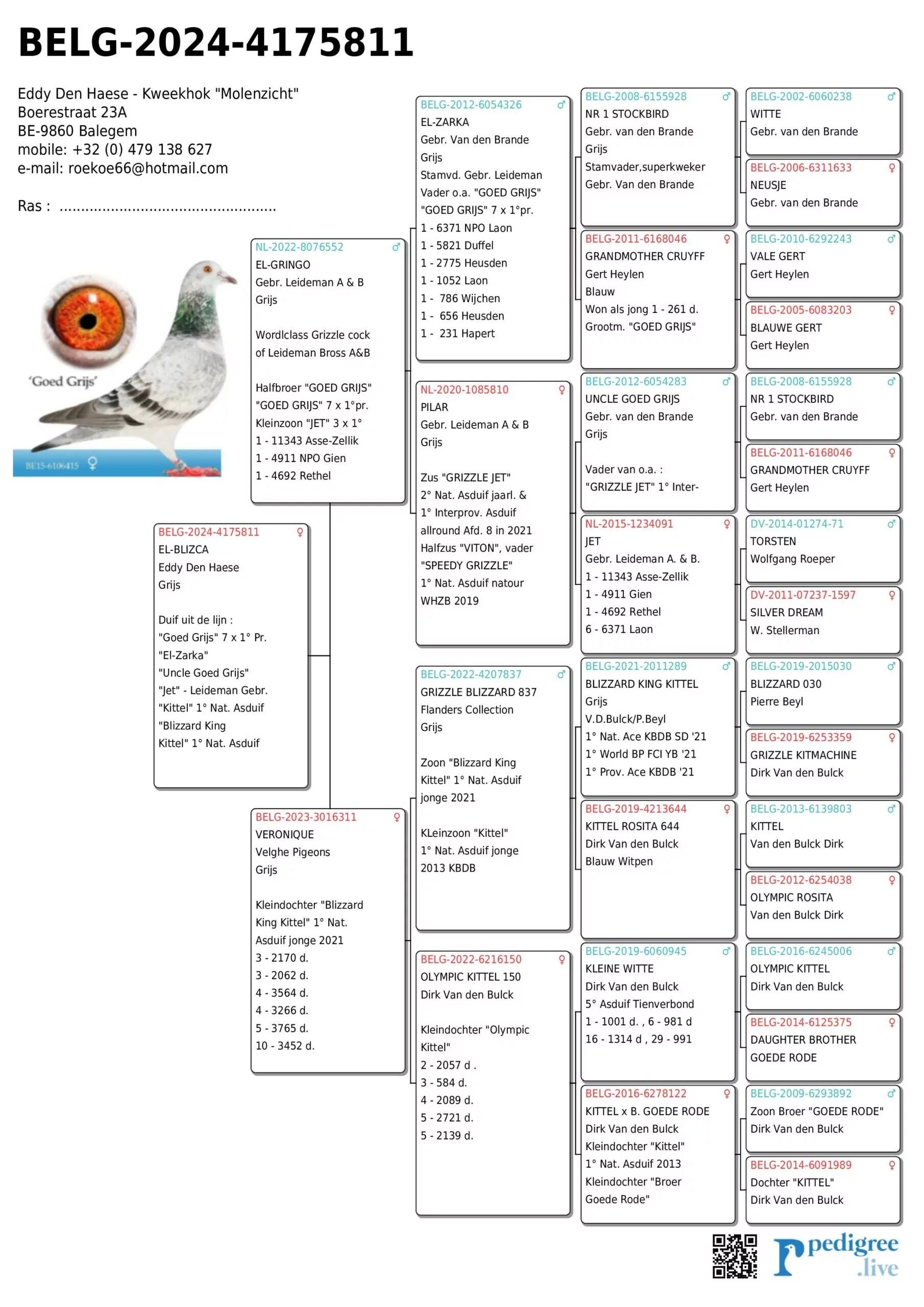 24-4175811-standard-svmjf5.jpg