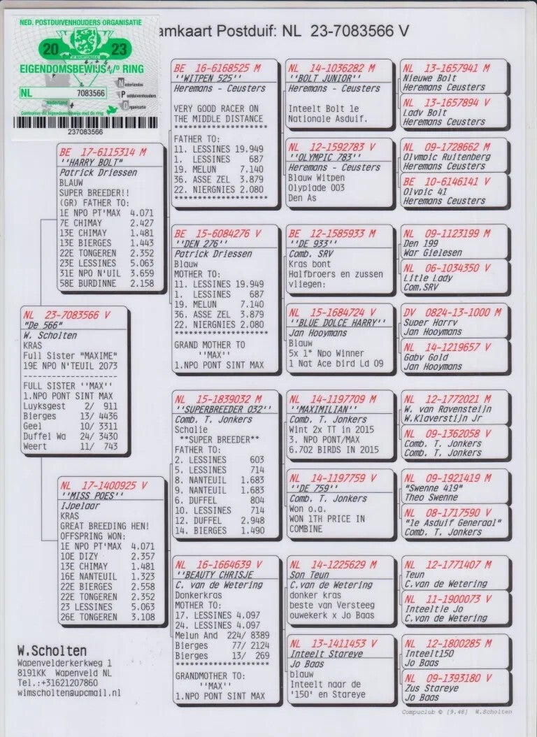 nl23-7083566-pedigree-standard-vvguy1.jpg
