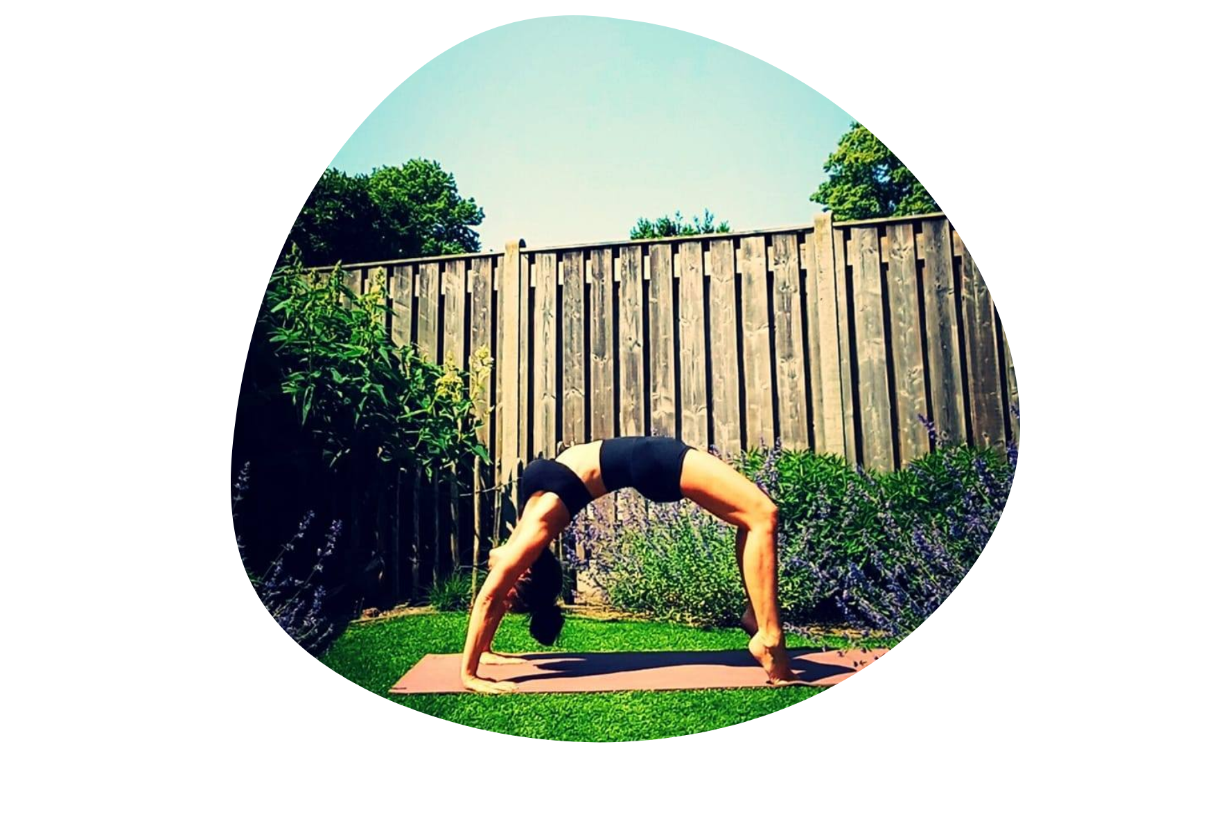 Yogapose het halve wiel