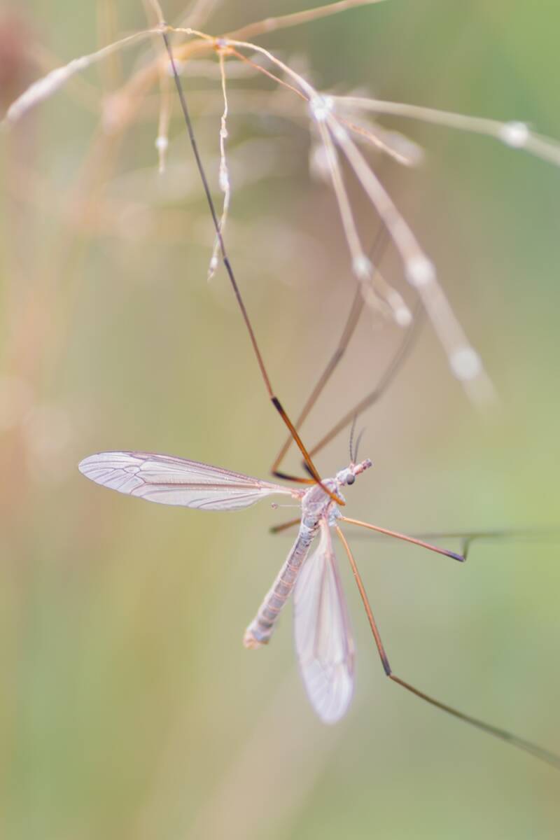 fb_imgp5604-standard.jpg