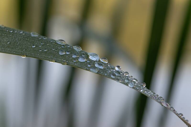 imgp3533-standard.jpg