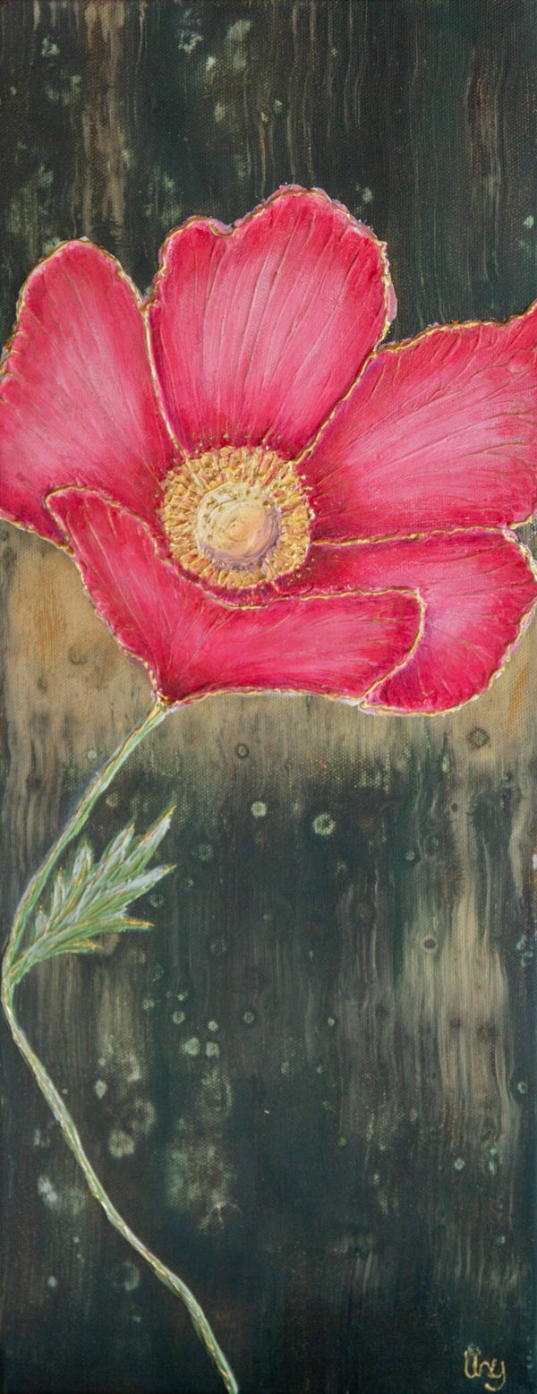 Mohnblüte