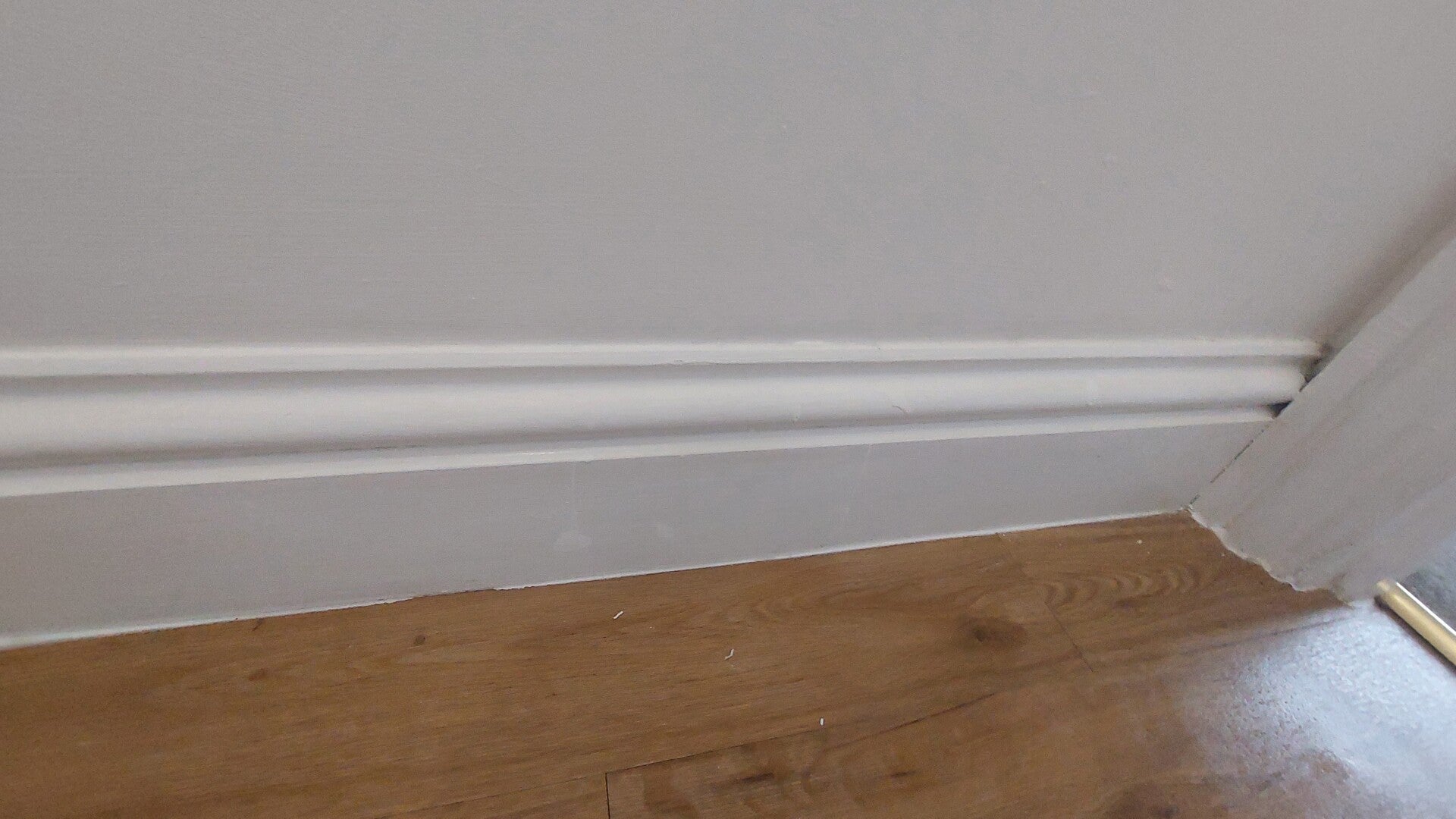 20260727_150715-standard.jpg