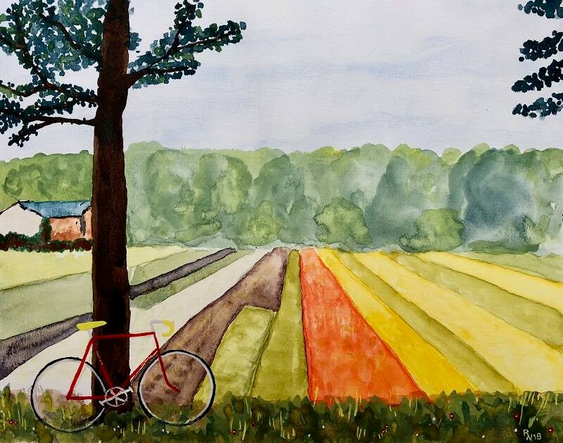 uitzicht over bloeiende bollenvelden met racefiets
