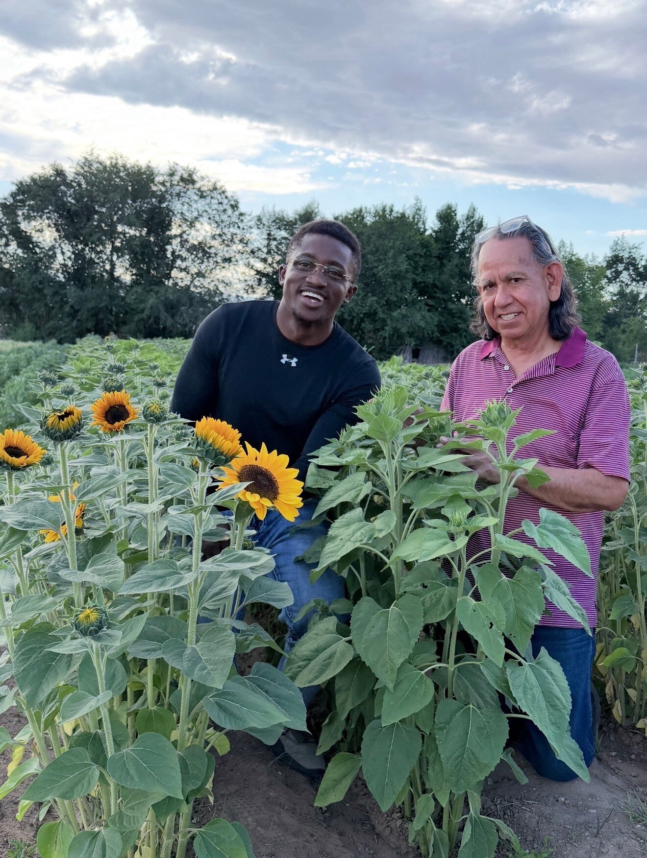 Ahmed Dadzie and friend Alejandro Lopez smiling and exploring sunflower garden