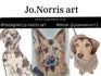 Jo.norris.art
