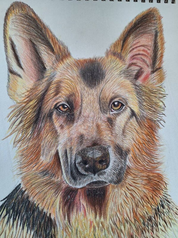 Devoted companion