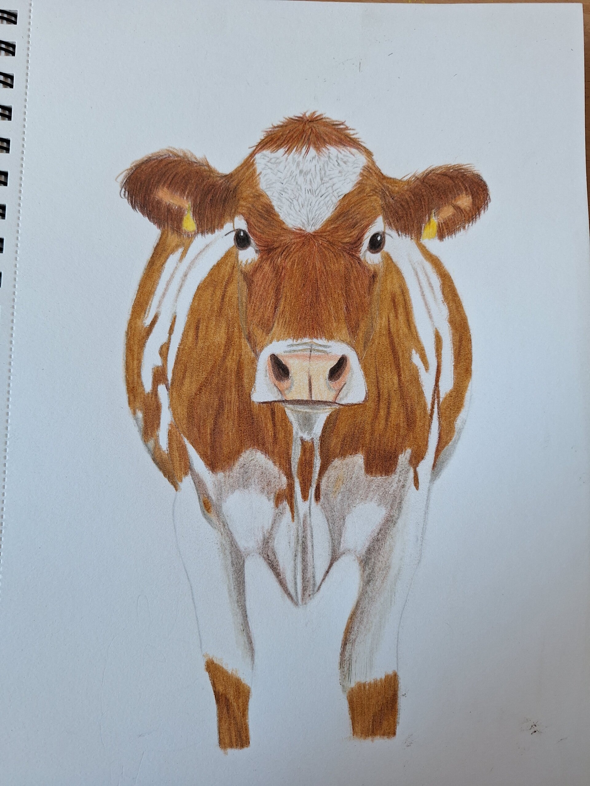 Country charm - original drawing.
