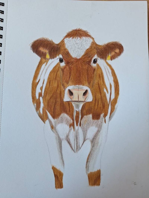 Country charm - original drawing.