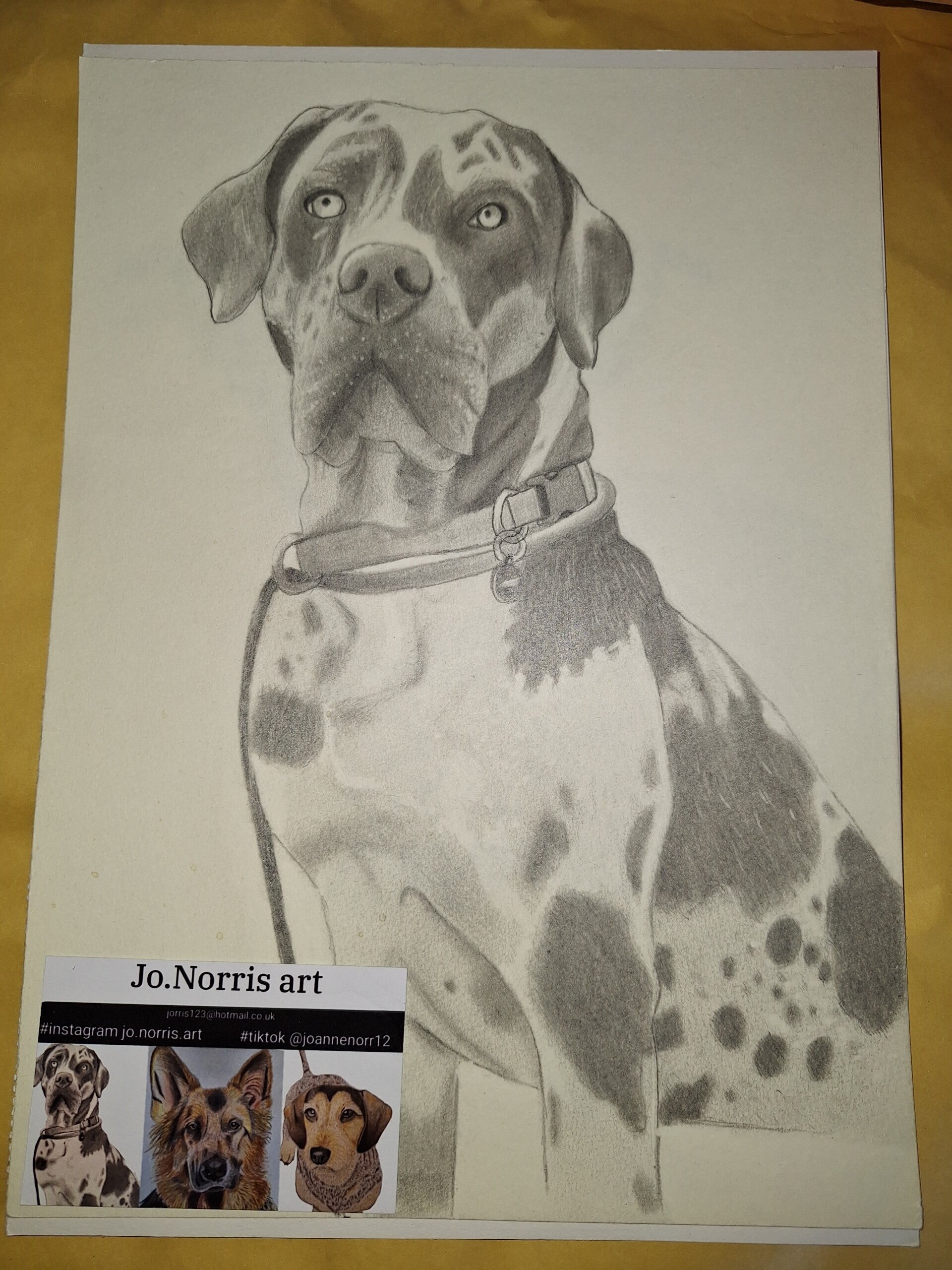 The Great Dane