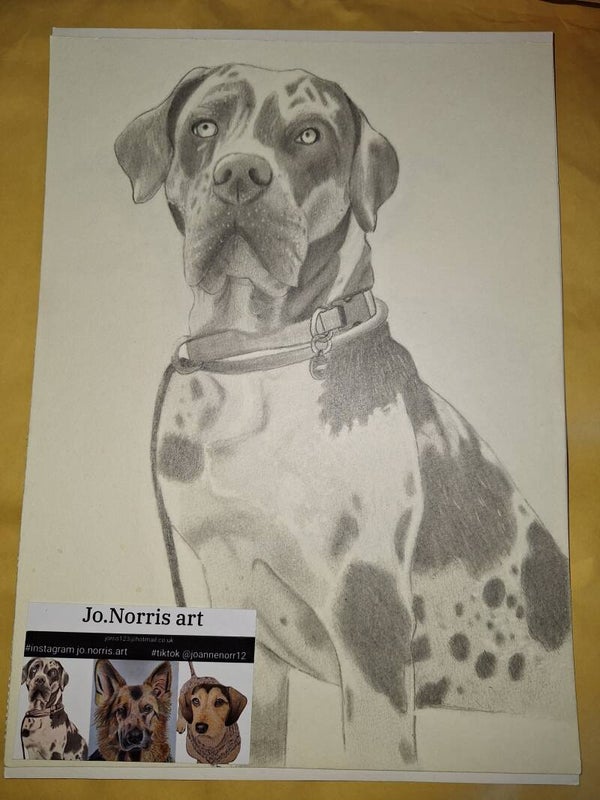 The Great Dane