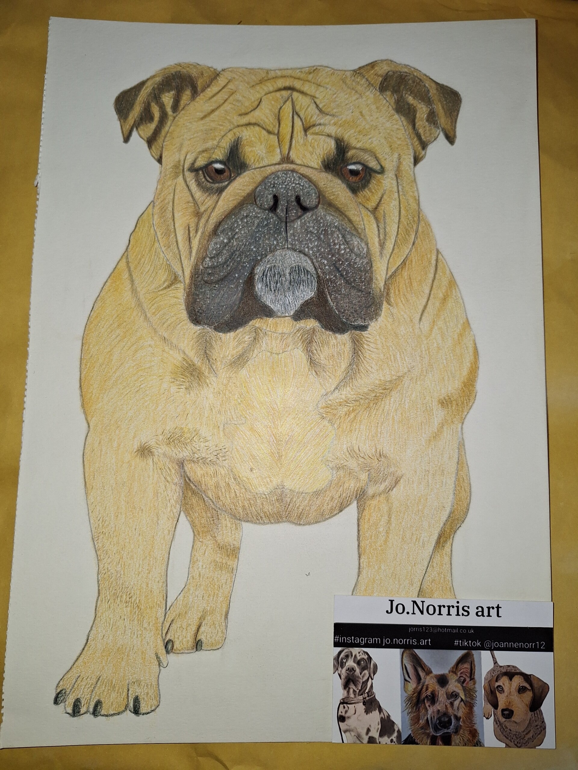 Bulldog
