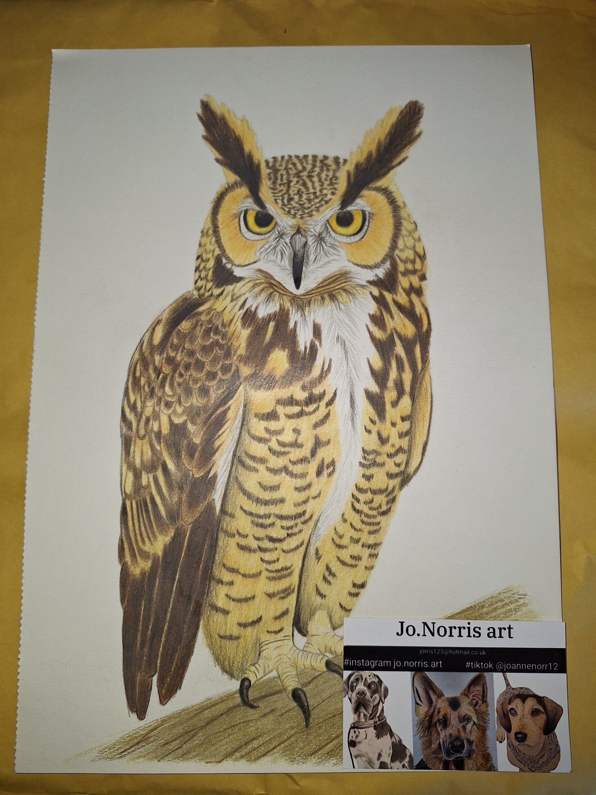 The Barn Owl