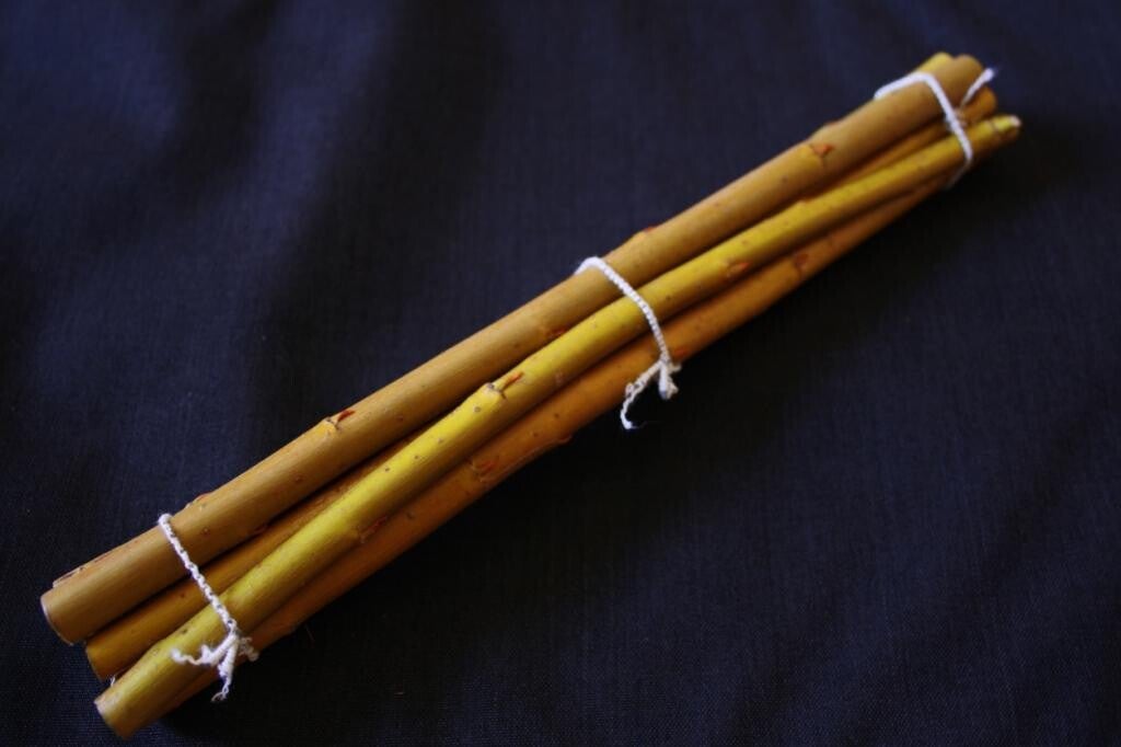 Salix alba "jaune des Ardennes"