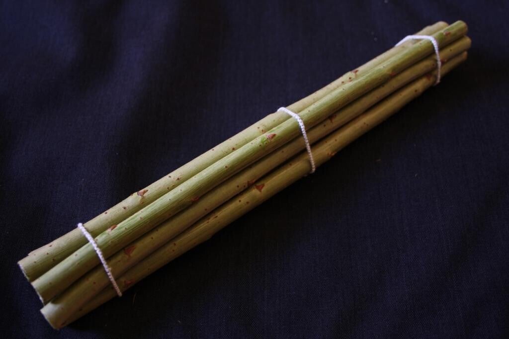 Salix purpuréa LX