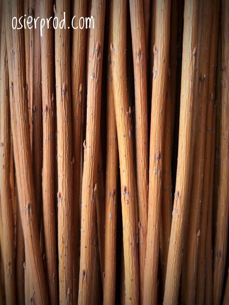 Botte d'osier brut Salix viminalis