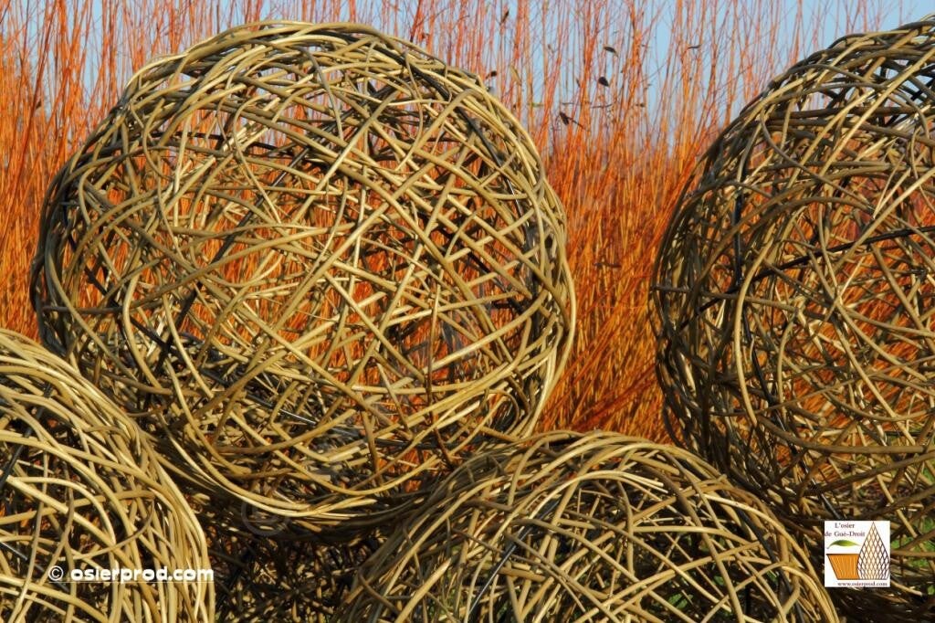 la boule en entrelac