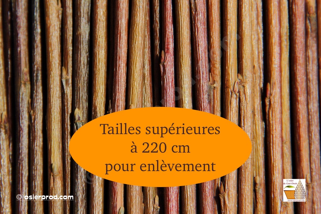 Botte d'osier brut supérieur ou égal à 2,40m uniquement par enlèvement