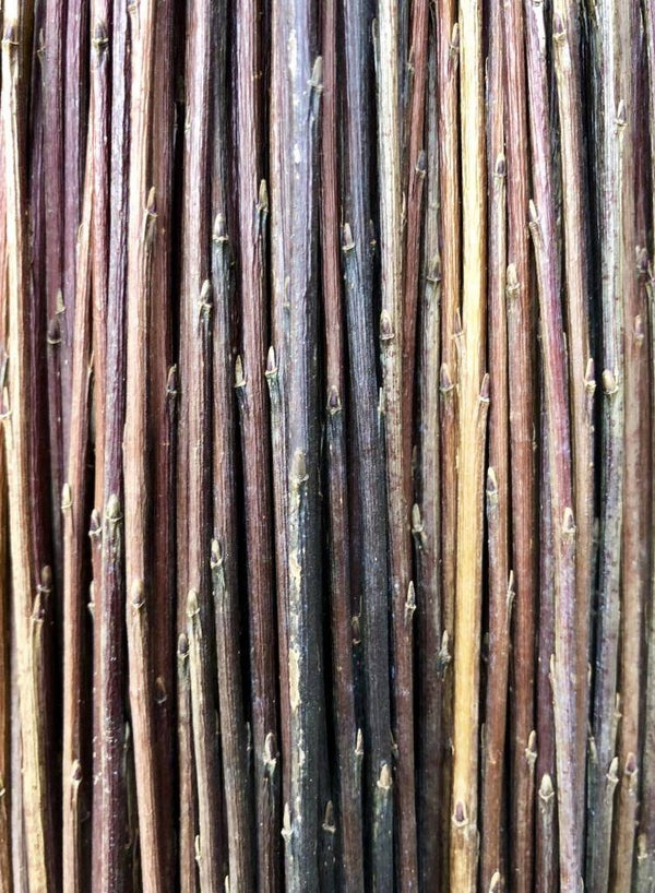 Botte d'osier brut Salix purpurea daphnoïdès