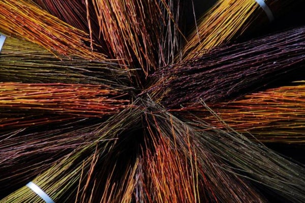 Botte d'osier frais Salix trianda "Noir de Villaines"