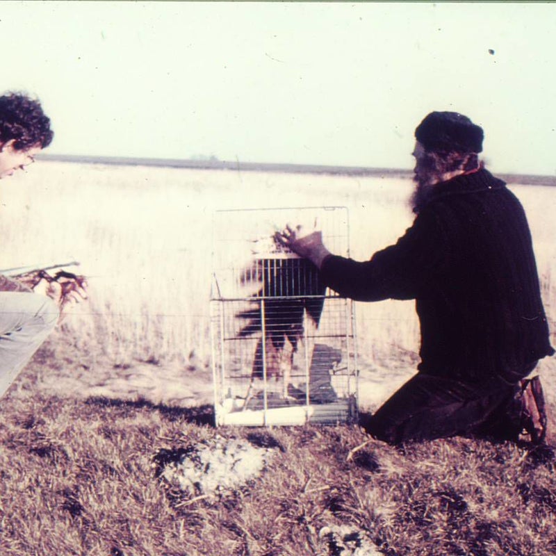 Image0201.jpg