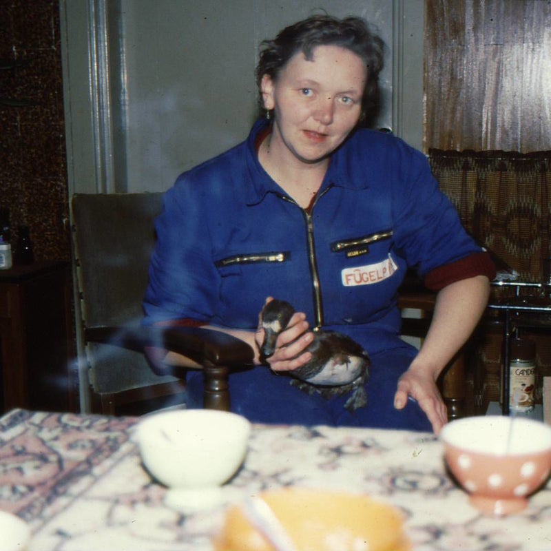 Image0163.jpg