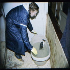 DOCU0104.jpg