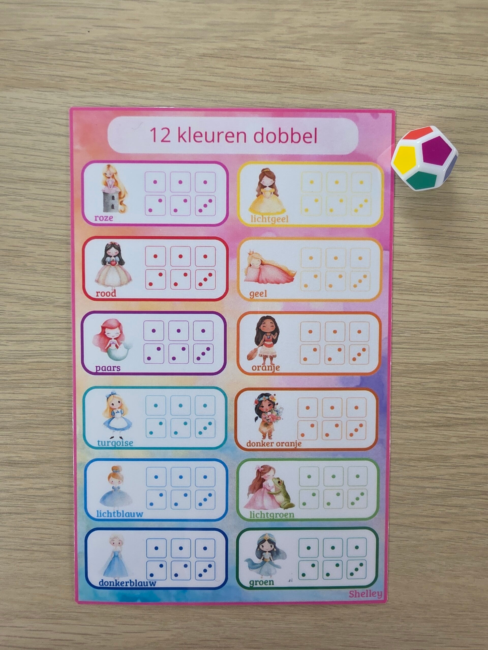 A5 12 kleurendobbel prinsessen