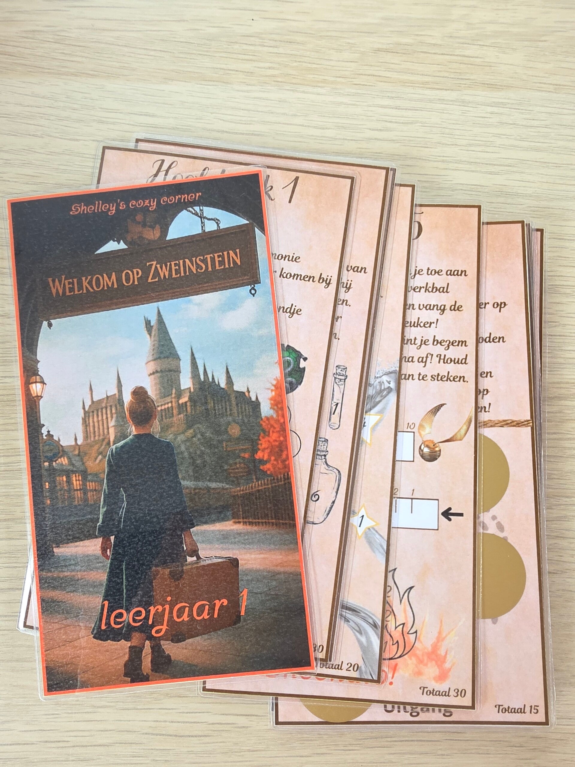 Zweinstein leerjaar 1