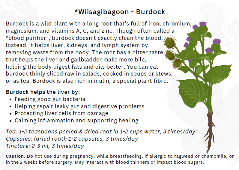 Plant Medicines