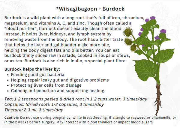 Plant Medicines