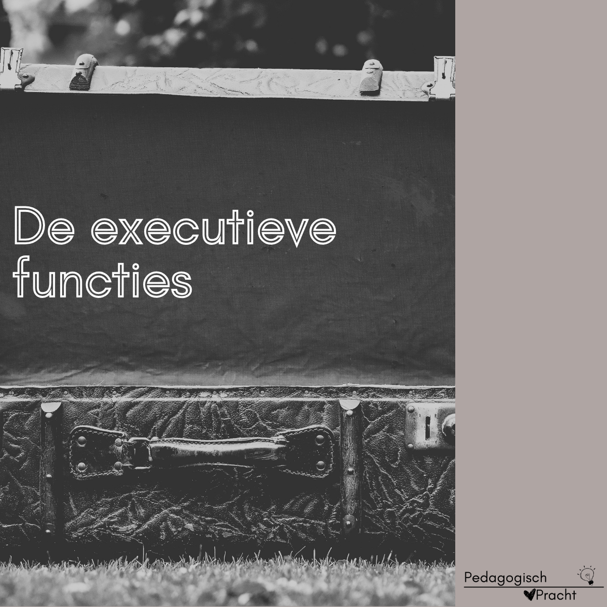 executieve functies kinderen kinderopvang basisschool