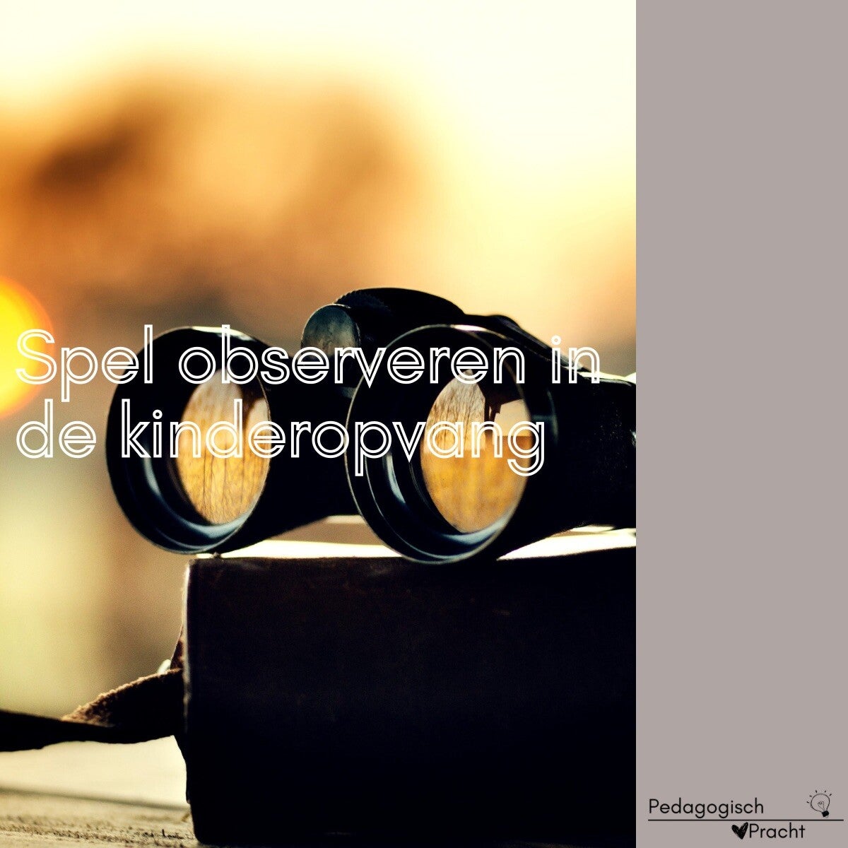 spel observeren kinderopvang
