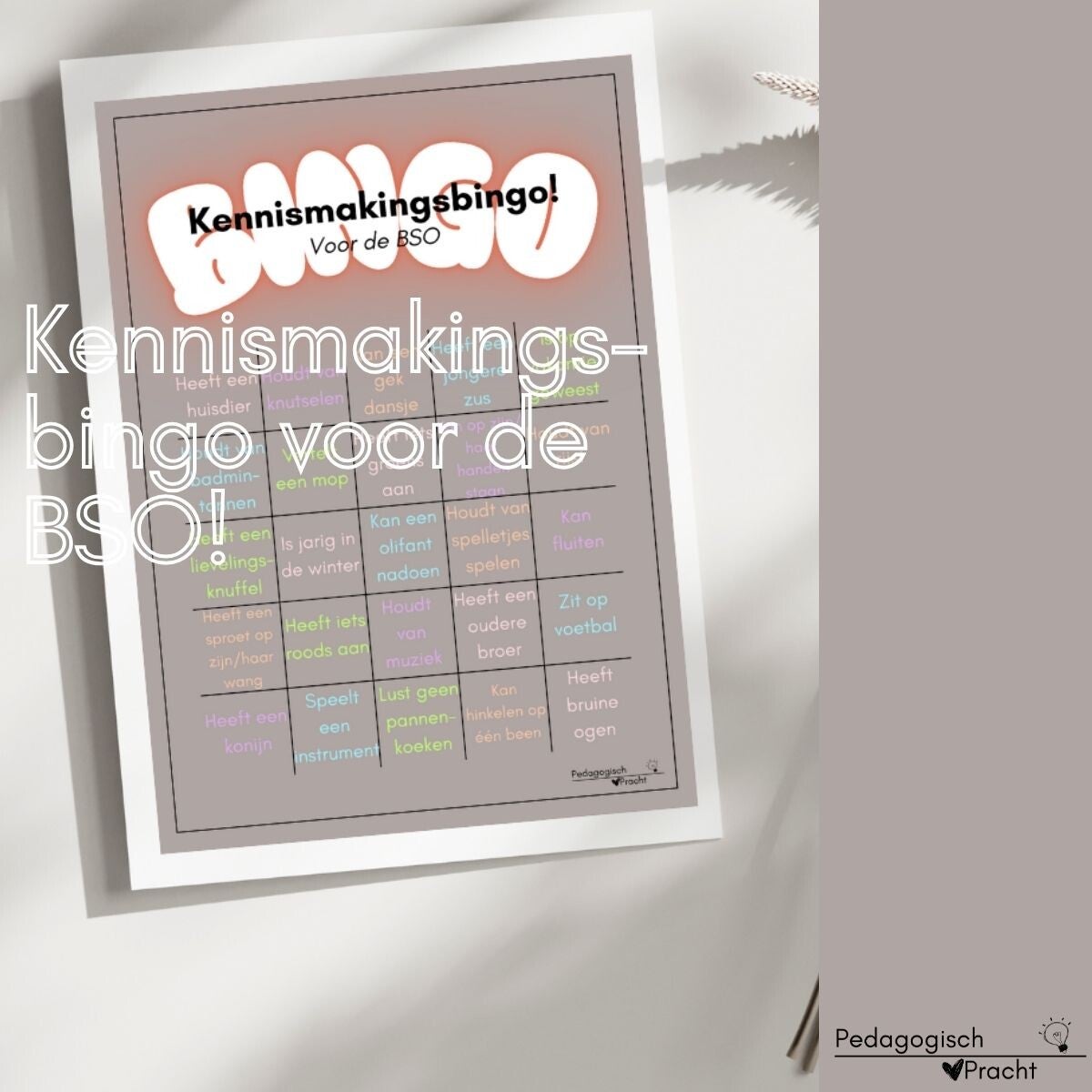 kennismakingsbingo bso