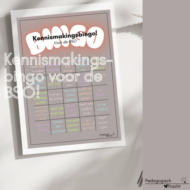 Kennismakingsbingo BSO
