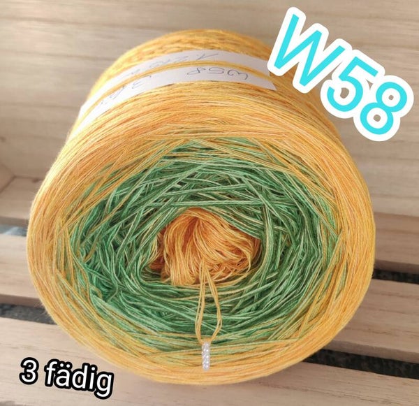 W58