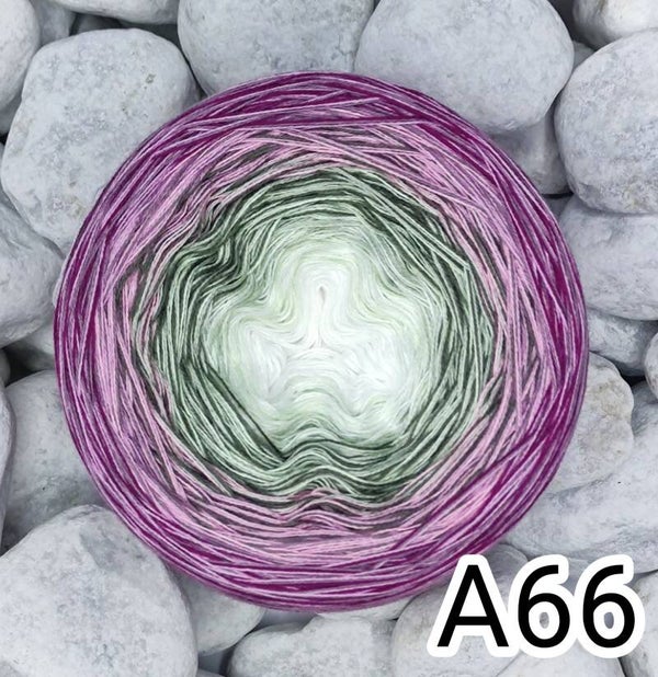 A66
