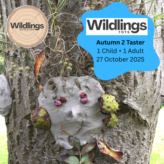 Wildlings Tots Aut 2 Taster / Single Session - 1 Child + 1 Free Adult