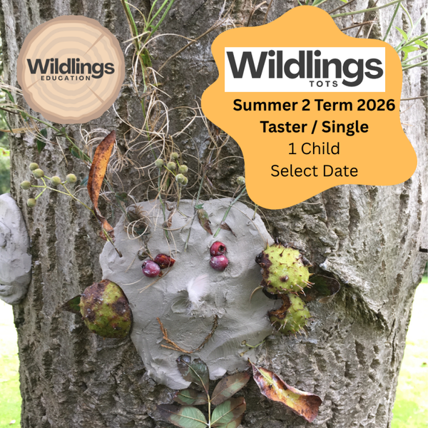 Wildlings Tots - Summer 2 2026 -  Taster/Single Session Select Date and Number Children