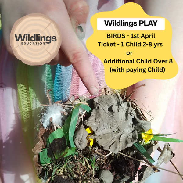 Wildlings Play - Birds - 2-8 years - 1 child (+ 1 Adult per family)