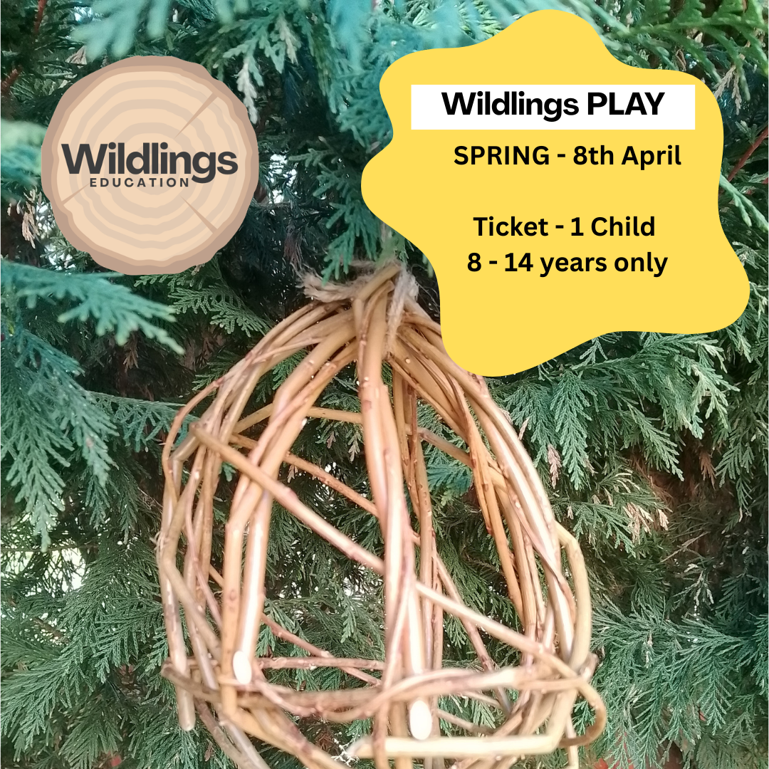 Wildlings Play - Spring - 8-14 years - 1 child (+ 1 Adult per family)