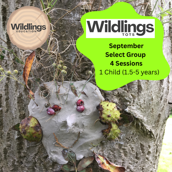Wildlings Tots Autumn Term 2026 - September 4 sessions