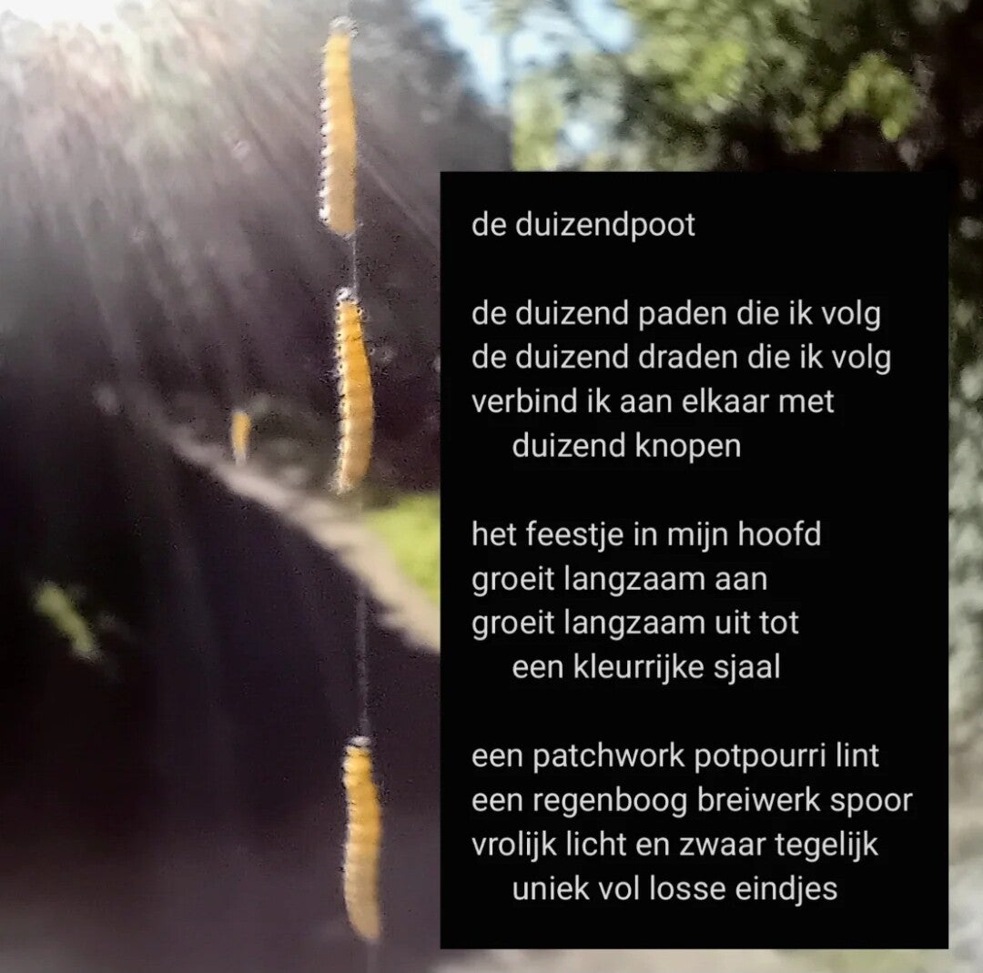 screenshot_20260717_212958_instagram-standard-ptph7n.jpg
