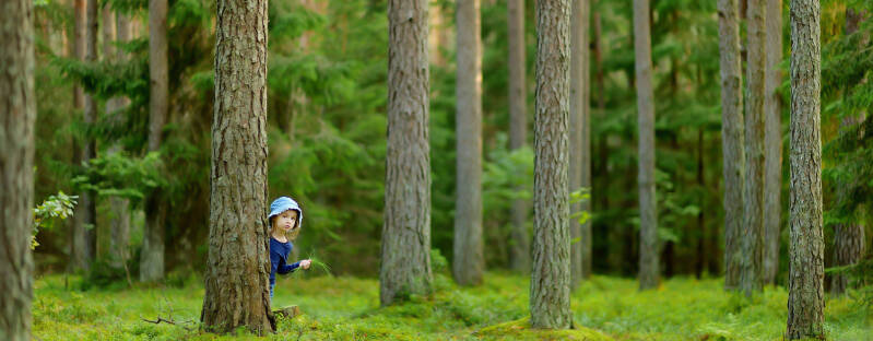 Girl peeking from behind a tree trunk in a forest.