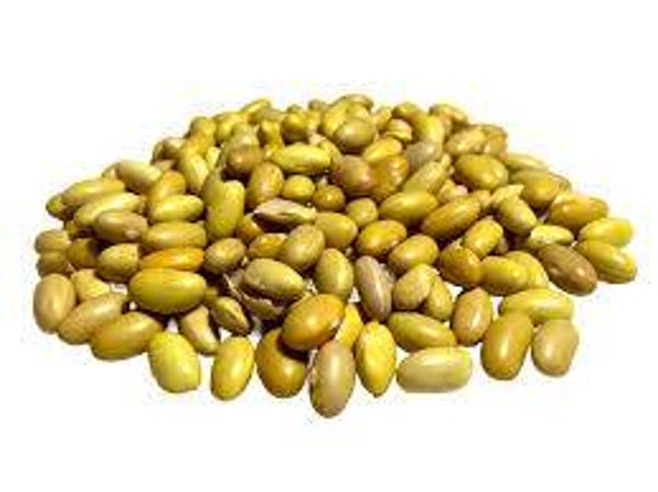 FRIJOL PERUANO (0.500GMS)