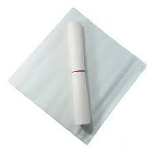 HOJA PARA MIXIOTE ( 1PZ)