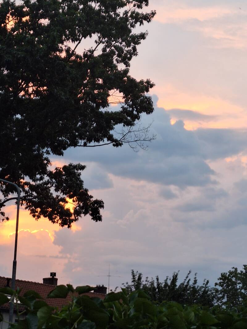 20260619_221124-standard.jpg